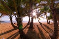 Silhouette coconut palm trees with sun light flare on beach at sunset or sunrise sky over sea Amazing light nature colorful Royalty Free Stock Photo