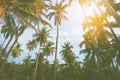 Silhouette coconut palm trees with sunset and flare sky background Royalty Free Stock Photo