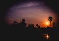 Silhouette of coconut palm trees during sunset next the sea water on island in Thailand. Nature and travel concept. Sun, red sky.