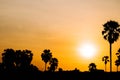 Silhouette of coconut palm trees during sunset next the sea water on island in Thailand. Nature and travel concept. Sun, red sky.