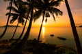 Silhouette coconut palm trees at sunset or sunrise sky over sea Amazing light nature colorful landscape Beautiful light nature sky Royalty Free Stock Photo