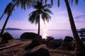 Silhouette coconut palm trees at sunset or sunrise sky over sea Amazing light nature colorful landscape Beautiful light nature sky Royalty Free Stock Photo