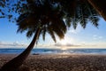 Silhouette coconut palm trees at sunset or sunrise sky over sea Amazing light nature colorful landscape Beautiful light nature sky Royalty Free Stock Photo