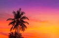 Silhouette coconut palm trees during twilight sunset time on tropical beach Royalty Free Stock Photo