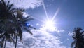 Silhouette coconut tree against with blue sky and white cloud with sun ray light Royalty Free Stock Photo