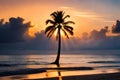 Silhouette of a coconut tree against a cloudy orange sky in the evening.