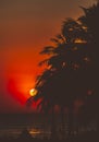 Silhouette coconut tree and beautiful sunset at sea beach in Thailand, dramatic nature red sky colour, red reflection water, Royalty Free Stock Photo