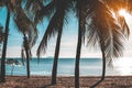 Silhouette of coconut tree and people Cyclist on the beach with sunset time. Royalty Free Stock Photo