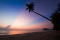 Silhouette of coconut tree slope down to the beach on sunrise background, Chumporn province Royalty Free Stock Photo