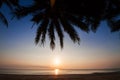 Silhouette of coconut tree slope down to the beach on sunrise background, Chumporn province Royalty Free Stock Photo