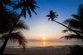 Silhouette of coconut tree slope down to the beach on sunrise background, Chumporn province Royalty Free Stock Photo