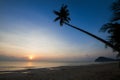 Silhouette of coconut tree slope down to the beach on sunrise background, Chumporn province Royalty Free Stock Photo