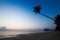 Silhouette of coconut tree slope down to the beach on sunrise background, Chumporn province Royalty Free Stock Photo