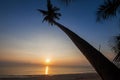 Silhouette of coconut tree slope down to the beach on sunrise background, Chumporn province Royalty Free Stock Photo