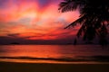 Silhouette of coconut tree , Twilight background Royalty Free Stock Photo