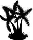 Silhouette Coconut Tree Vector Royalty Free Stock Photo