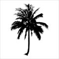 Silhouette coconut tree. vector logo design. natural plant Royalty Free Stock Photo