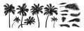 Silhouette coconut tree on white background vector illustration