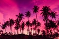 Silhouette of coconut trees against red sunset sky background. Royalty Free Stock Photo