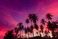 Silhouette of coconut trees against red sunset sky background. Royalty Free Stock Photo