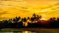 Silhouette of coconut Trees during sunset at Siloso Beach, Sentosa Island, Singapore. Royalty Free Stock Photo