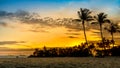 Silhouette of coconut Trees during sunset at Siloso Beach, Sentosa Island, Singapore. Royalty Free Stock Photo