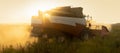 Silhouette of combine harvester in clouds of dust on the field at sunset.