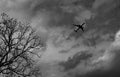 Silhouette commercial airplane on grey sky and clouds with death tree. Failed vacation. Hopeless and despair concept. Moody sky