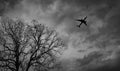 Silhouette commercial airplane on grey sky and clouds with death tree. Failed vacation. Hopeless and despair concept. Moody sky