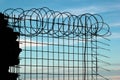 Silhouette of concertina barbed wire on an old prison fence Royalty Free Stock Photo