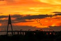 Silhouette of a construction Bridge pillars and flocks of birds at sunset sky evening