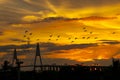 Silhouette of a construction Bridge pillars and flocks of birds at sunset sky evening