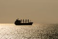 Silhouette of container ship sails along the trade route in the evening before sunset