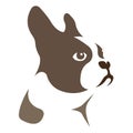 Silhouette, contour of the dog muzzle of the breed French Bulldog painted in brown on a white background