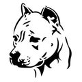 Silhouette, contour of the dog muzzle of the breed Pit Bull in black on a white background, surrounded by lines of different width