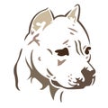 Silhouette, contour of a dog of a muzzle of breed Pit bull of brown color on a white background, surrounded by lines