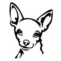 The silhouette, contour of the muzzle of a Chihuahua breed in black over a white background is drawn by lines of various widths