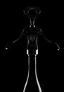 Silhouette of Corkscrew on the wine bottle on a black background Royalty Free Stock Photo