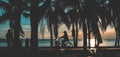 Silhouette of cosilhouette of coconut tree and people Cyclist on the beach with sunset ticonut tree on the beach with sunset time. Royalty Free Stock Photo