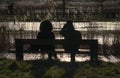 silhouette of a couple on a bench looking over a winter marsh in the flemish countryside Royalty Free Stock Photo