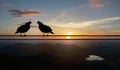 Silhouette of couple of bird sitting on electricity cable on blurred sunset behind mountains background Royalty Free Stock Photo