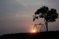 The silhouette of a pair of birds perched on a swing under a big tree.