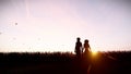 Silhouette Couple Holding Hands in Open Field with Sunshine 3D Rendering. Royalty Free Stock Photo