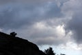 A silhouette of a couple of horses over a mountain cliff on Mt.Subasio Umbria, Italy, against a cloudy sky