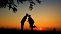 Silhouette couple kissing under a tree in sunset Royalty Free Stock Photo