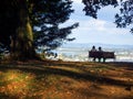 Silhouette of a couple sitting on a park bench