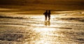 Silhouette of couple walking on beach in sunset Royalty Free Stock Photo