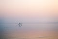 A silhouette of a couple walking on the beach with two dogs on a misty afternoon. Saunton, Devon, UK