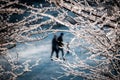 Silhouette of couple walking in a winter landscape in a park in Aarhus Royalty Free Stock Photo