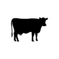 Silhouette of a cow. Cattle. Circuit. Farm. Bull. Black and white drawing by hand